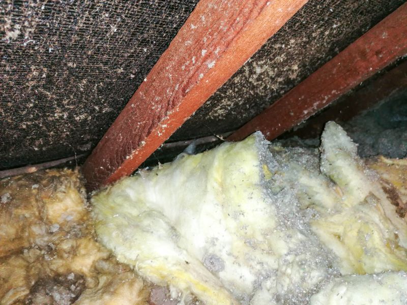 Basement Asbestos Removal in Bergen County, NJ