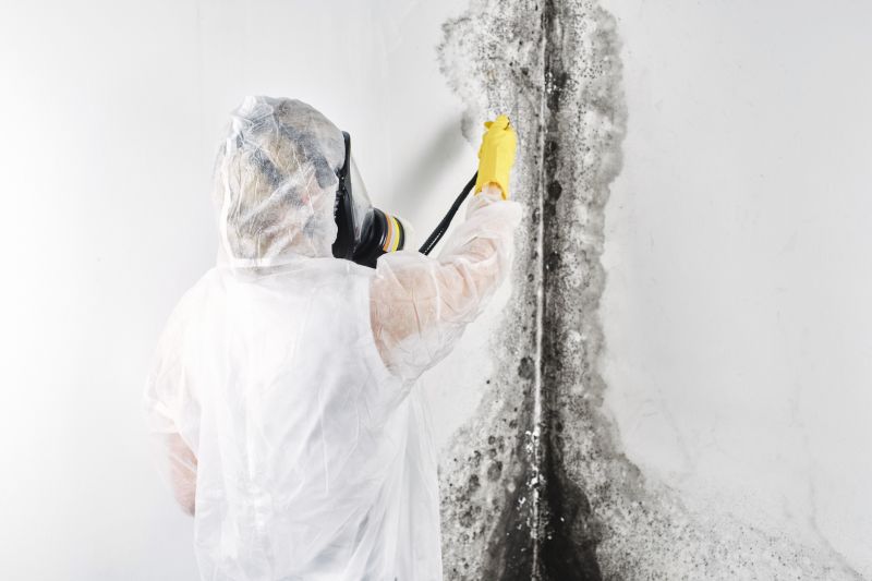 Black Mold Remediation in Frisco, TX