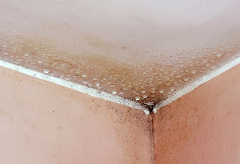 Garage Mold Remediation in Dallas, TX