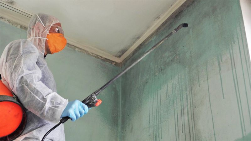 Mold Restoration in Fort Lauderdale, FL
