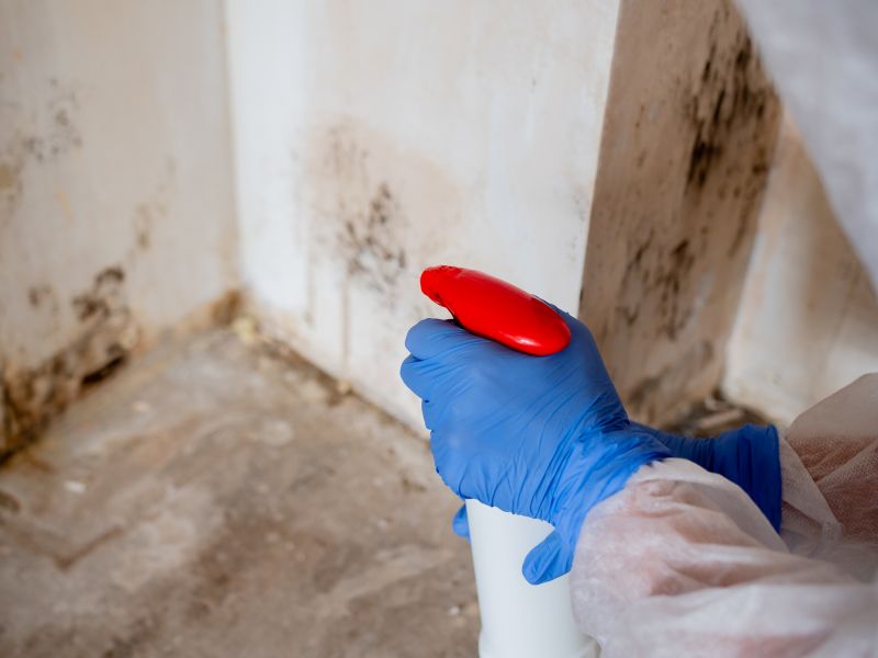 Mold Treatment Service in Jupiter, FL
