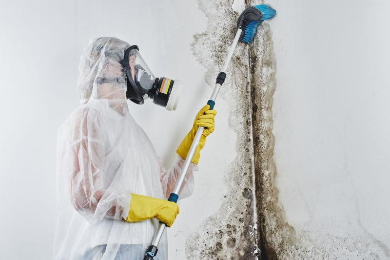 White Mold Mitigation in Essex County, NJ