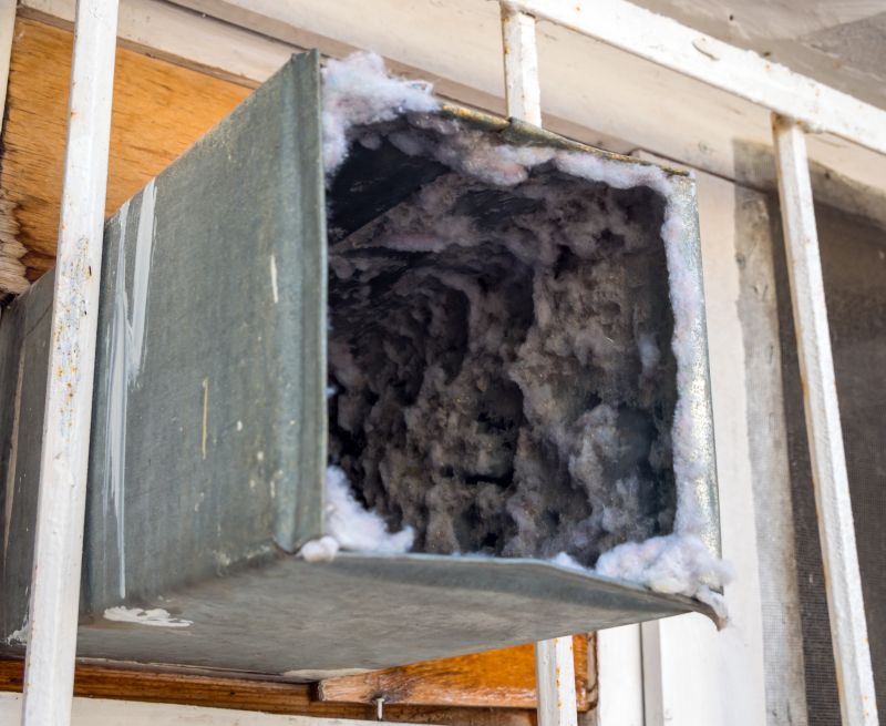 Air Duct Mold Removal in Frisco, TX