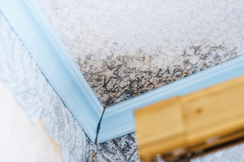 Ceiling Mold Removal in Broward County, FL