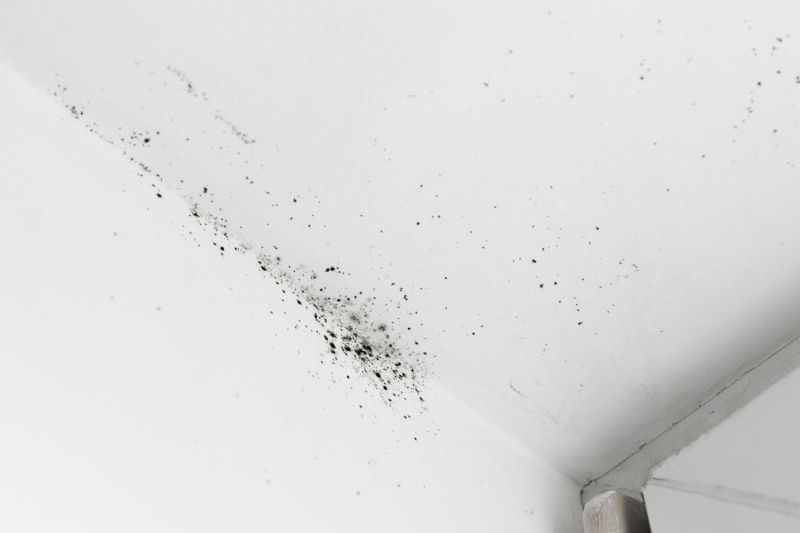 Ceiling Mold Removal in Frisco, TX