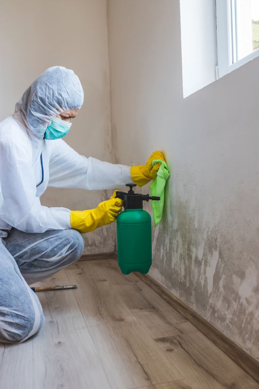 Cost of Mold Removal — Cost of Mold Removal