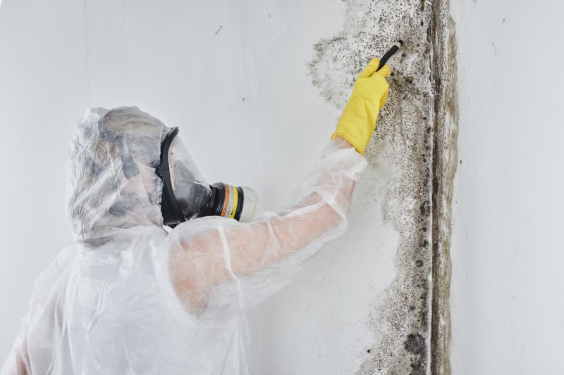 Cost of Mold Removal — Cost of Mold Removal