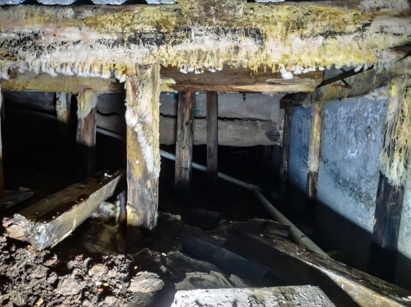 Crawl Space Mold Removal in Fort Lauderdale, FL