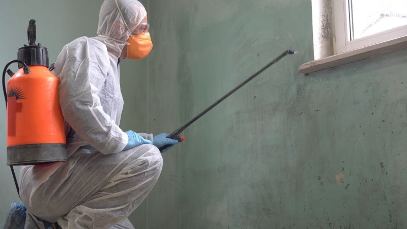 Mold Control in Arlington, TX