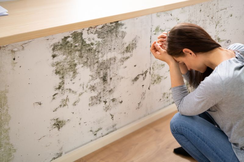 Mold Detection in Weatherford, TX