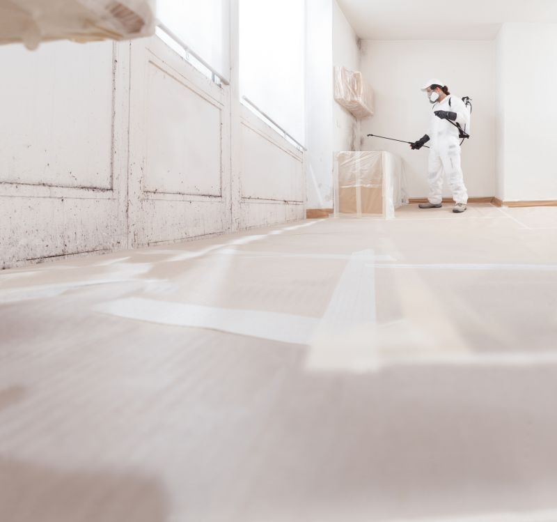 Mold Mitigation Service in Bergen County, NJ