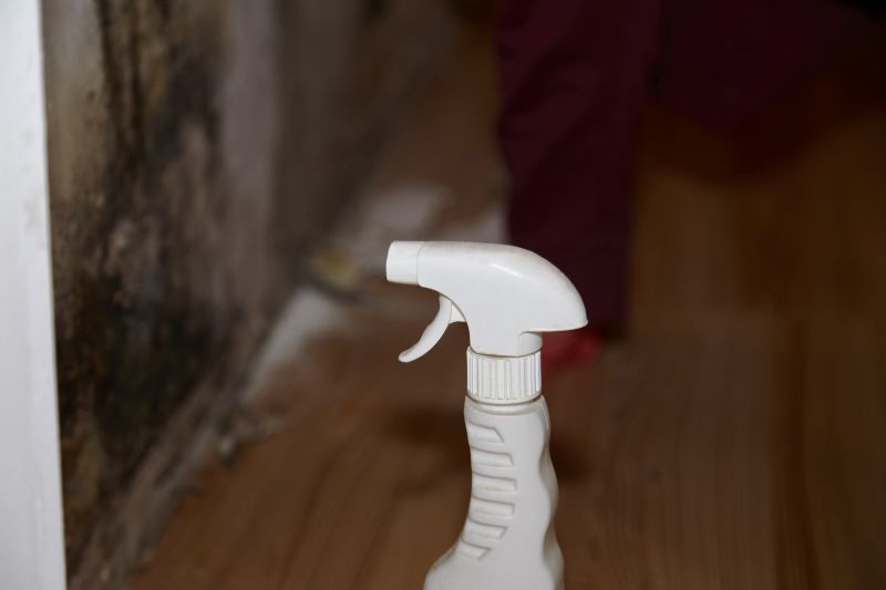 Mold Restoration in Dallas, TX