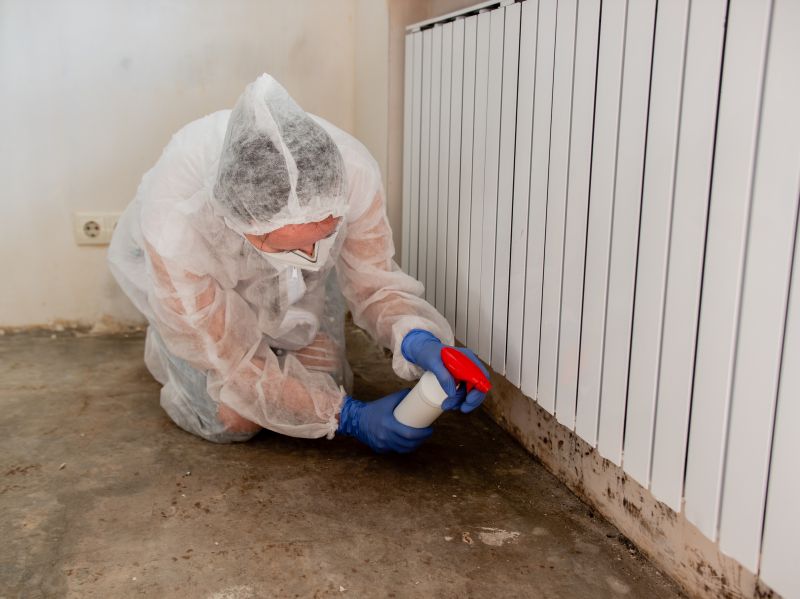 Mold Restoration in Essex County, NJ