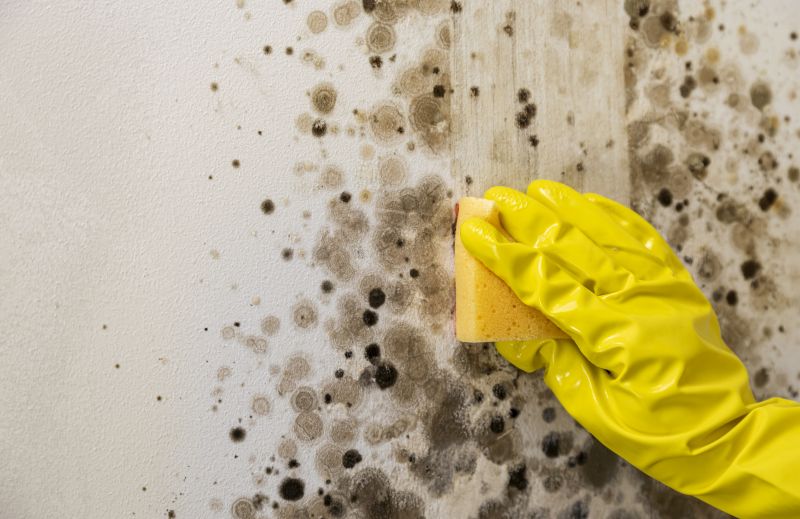 Mold Restoration in Fort Lauderdale, FL