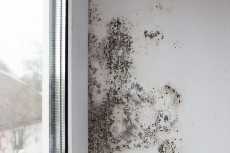 Mold Restoration in Broward County, FL
