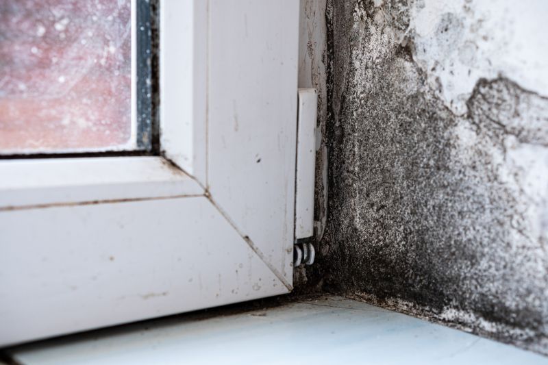Mold Treatment Service in Dallas, TX