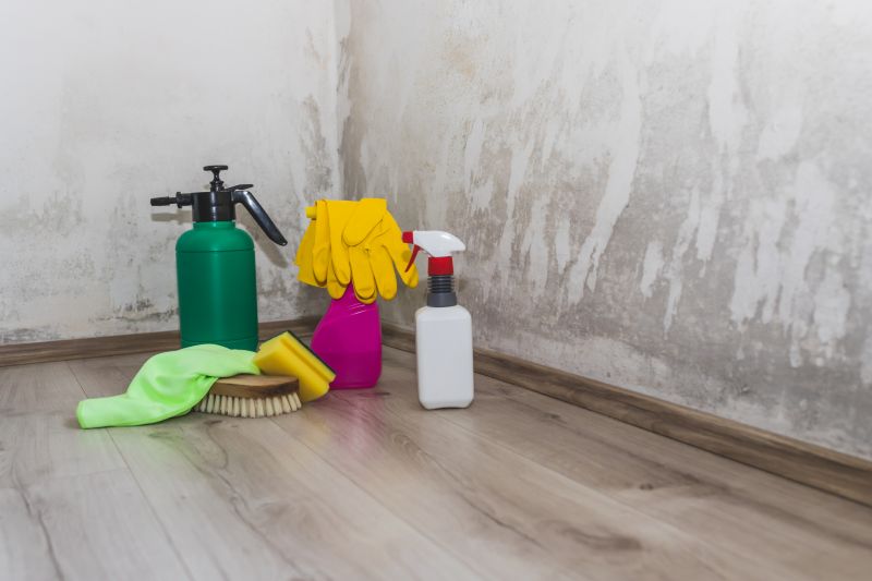 Mold Treatment Service in Essex County, NJ