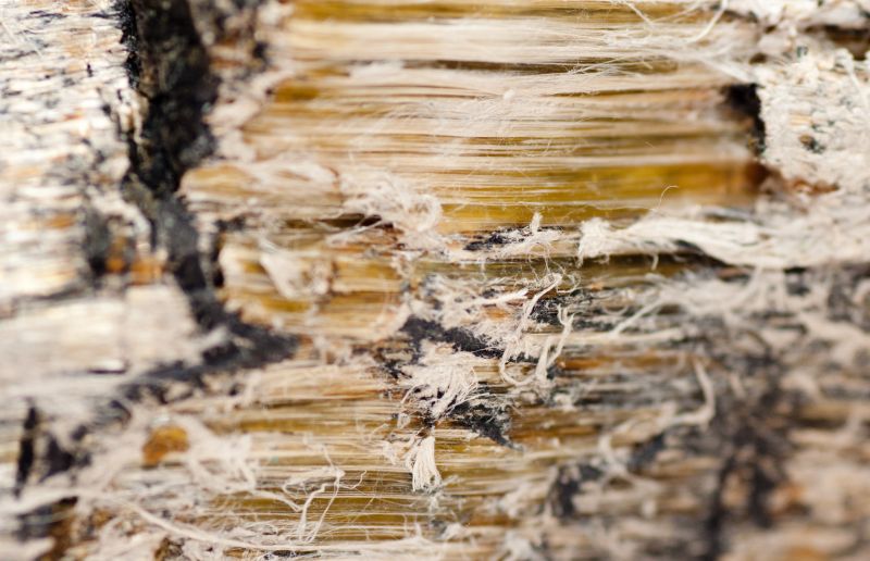 Vermiculite Remediation in Freehold, NJ