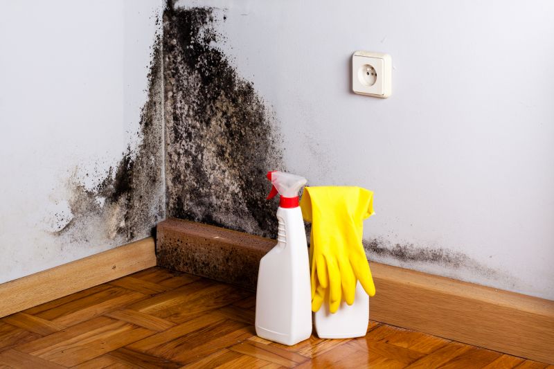 White Mold Mitigation in Bergen County, NJ