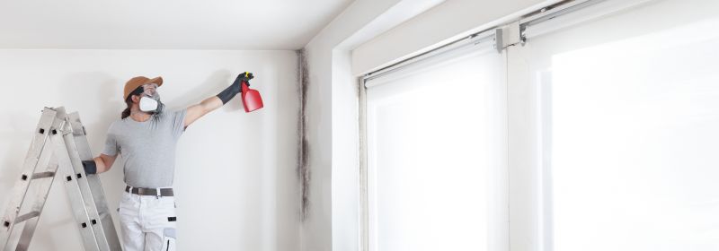 White Mold Mitigation in Fort Lauderdale, FL
